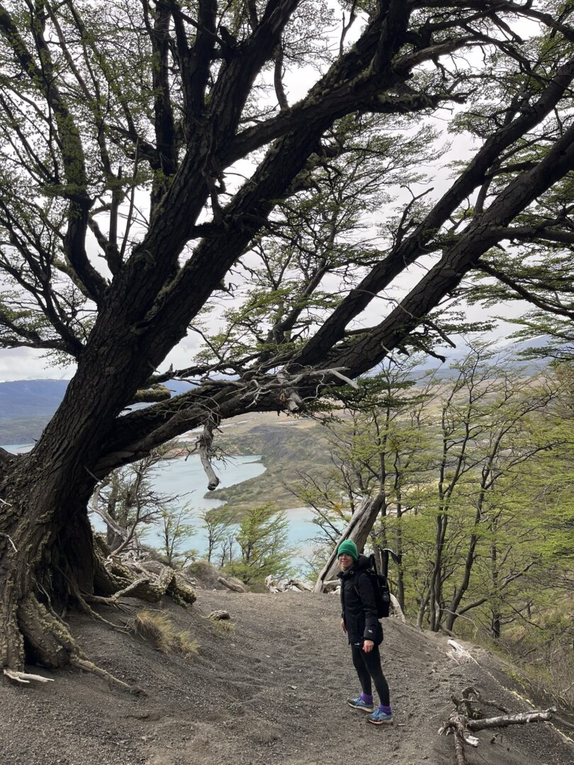 hiking in patagonia