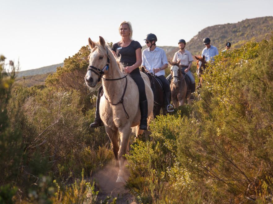 Horse riding from Grootbos, Garden Route, South Africa
