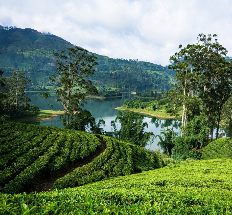 Sri Lanka