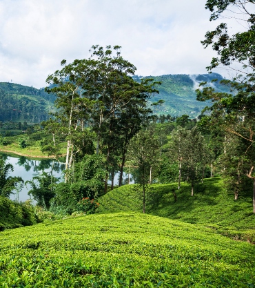 Sri Lanka