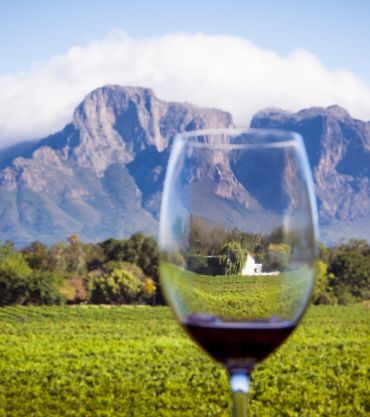 Winelands, South Africa