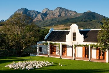 Winelands of South Africa