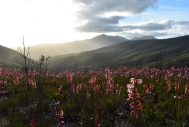 The Garden Route, South Africa