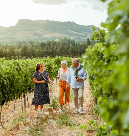 South Africa's winelands
