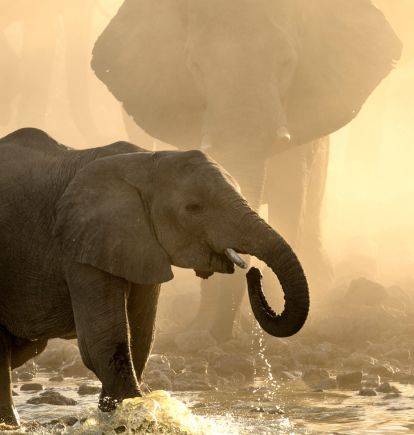 Kruger National Park, South Africa