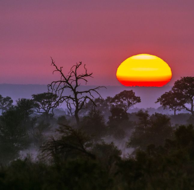 Sunset in the Kruger, South Africa