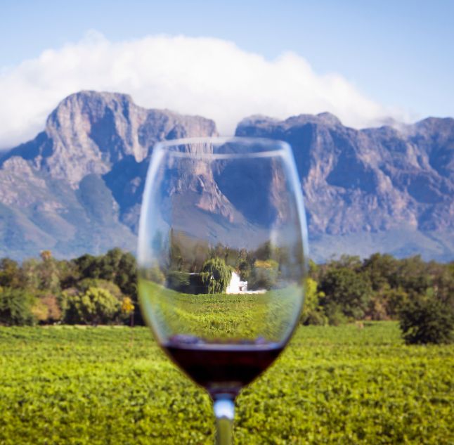 Winelands of South Africa