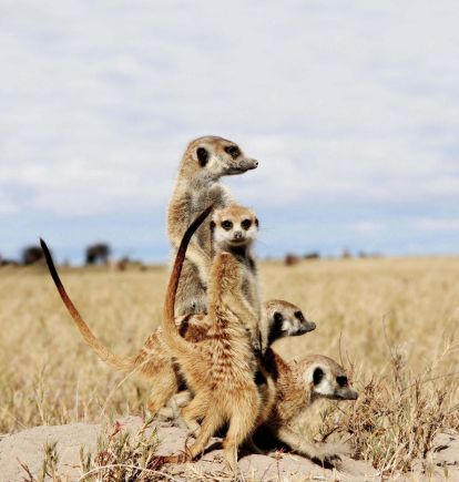 Makgadikgadi Salt Pans, Botswana