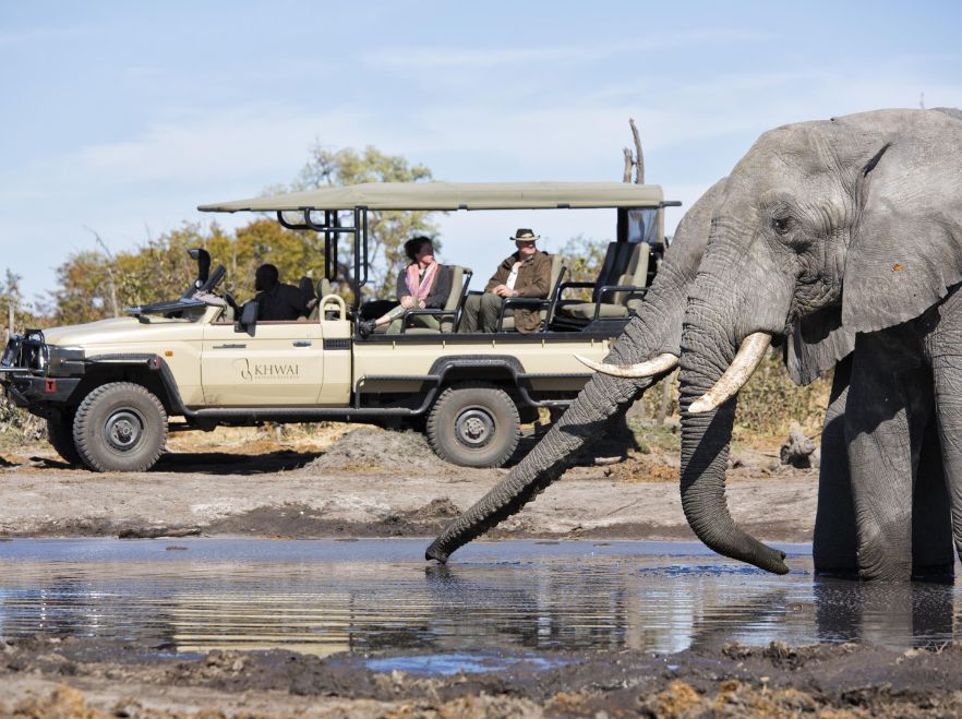 On safari from Skybeds, Okavango Delta, Botswana