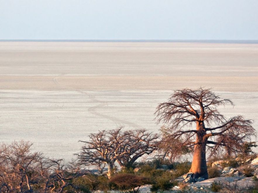 The Makgadikgadi Salt Pans