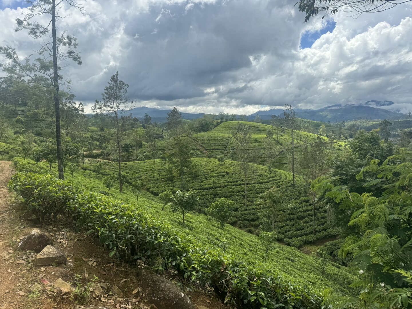 Pekoe Trail, Sri Lanka