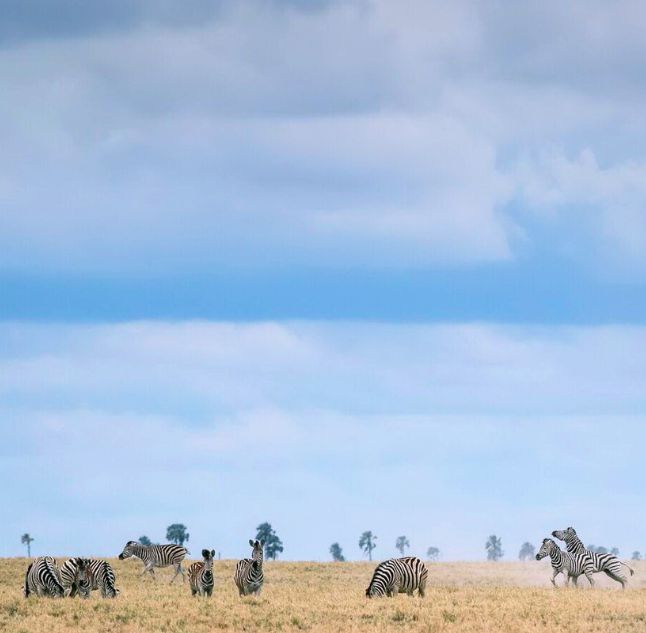 Makgadikgadi Salt Pans, Botswana