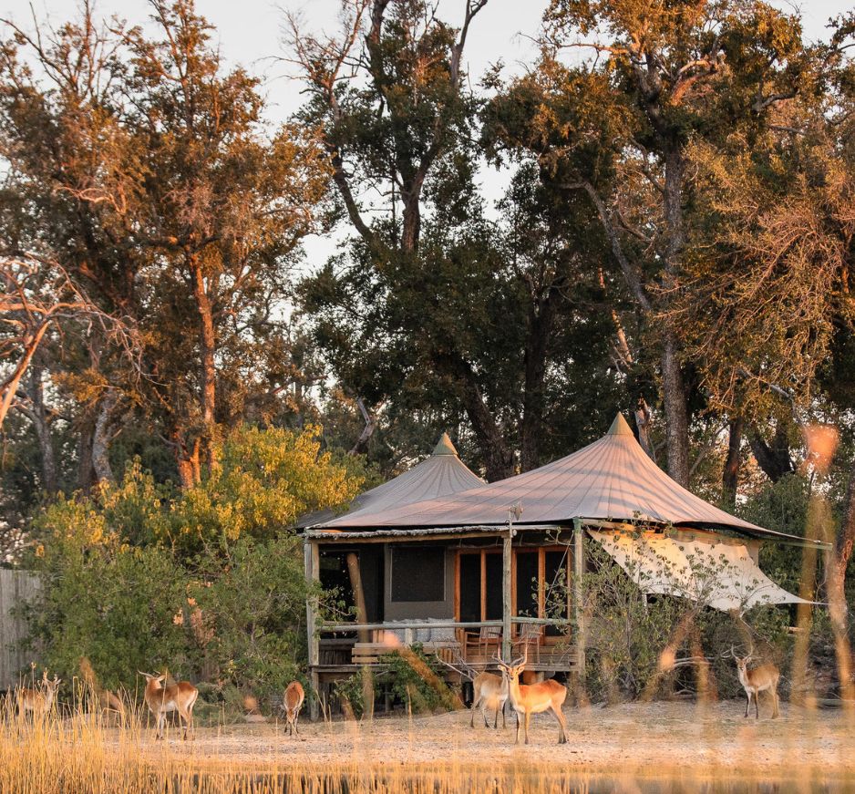 Little Vumbura, Okavango Delta, Botswana