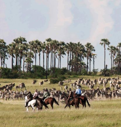 San Camp, Botswana