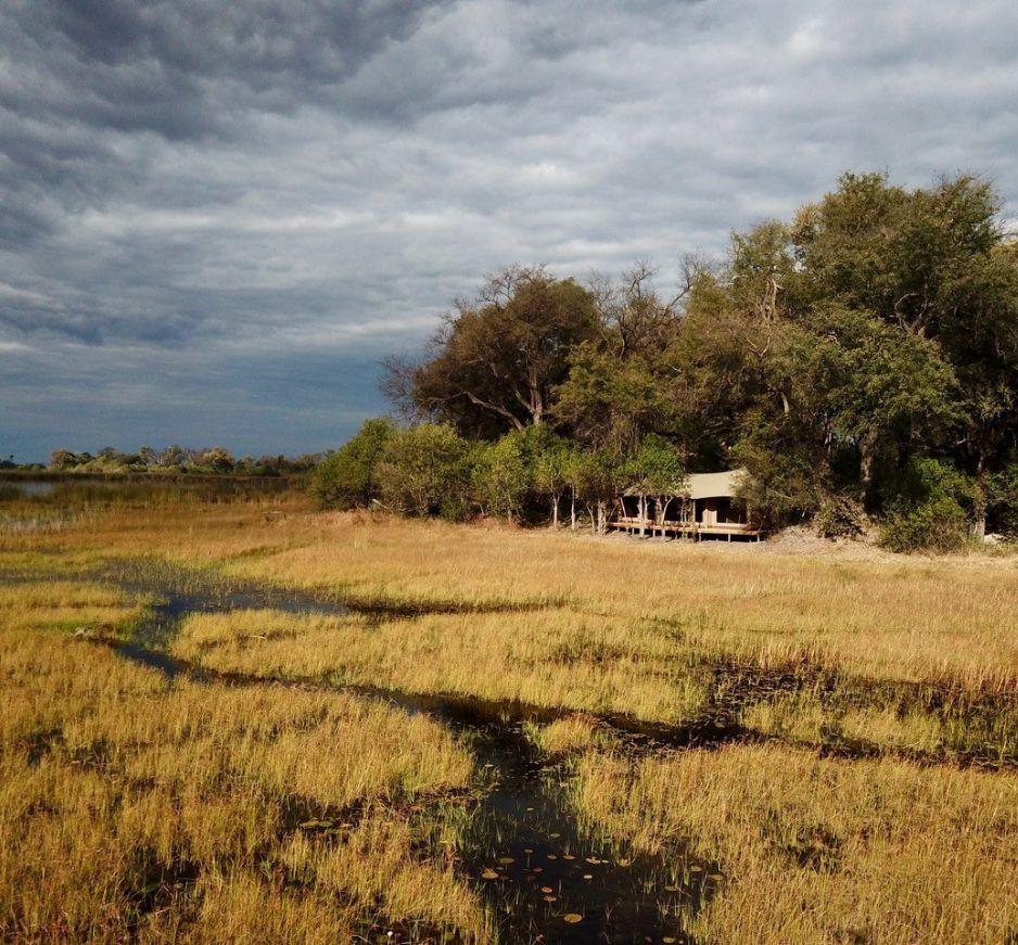Cha Cha Metsi, Okavango Delta, Botswana