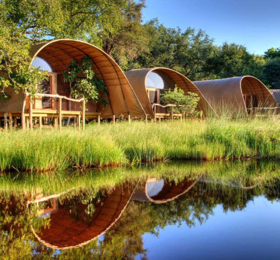 Okuti, Moremi Game Reserve, Botswana