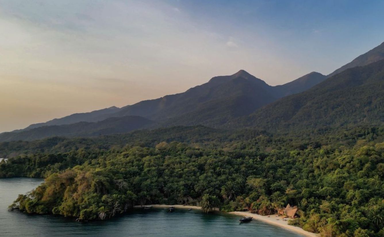 Greystoke, Mahale National Park, Tanzania