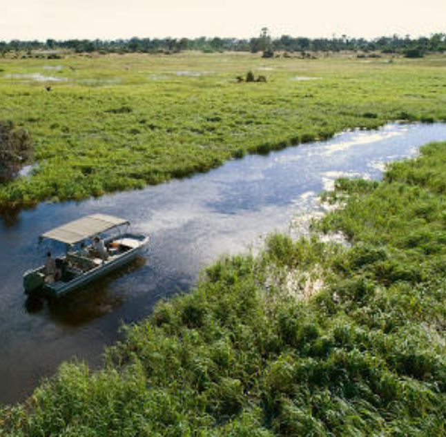 Gomoti Plains, Okavango Delta, Botswana