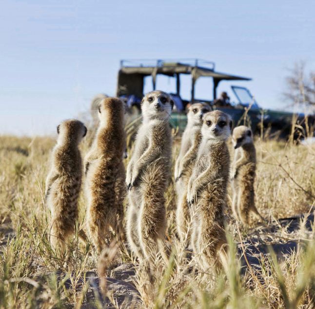 San Camp, Botswana