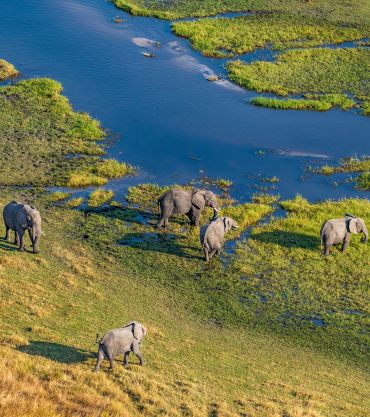 Okavango delta, Botswana