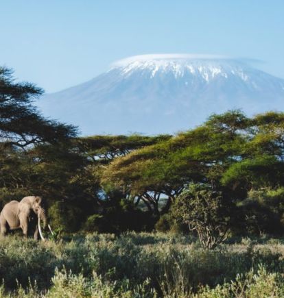 Angama Amboseli, Kenya