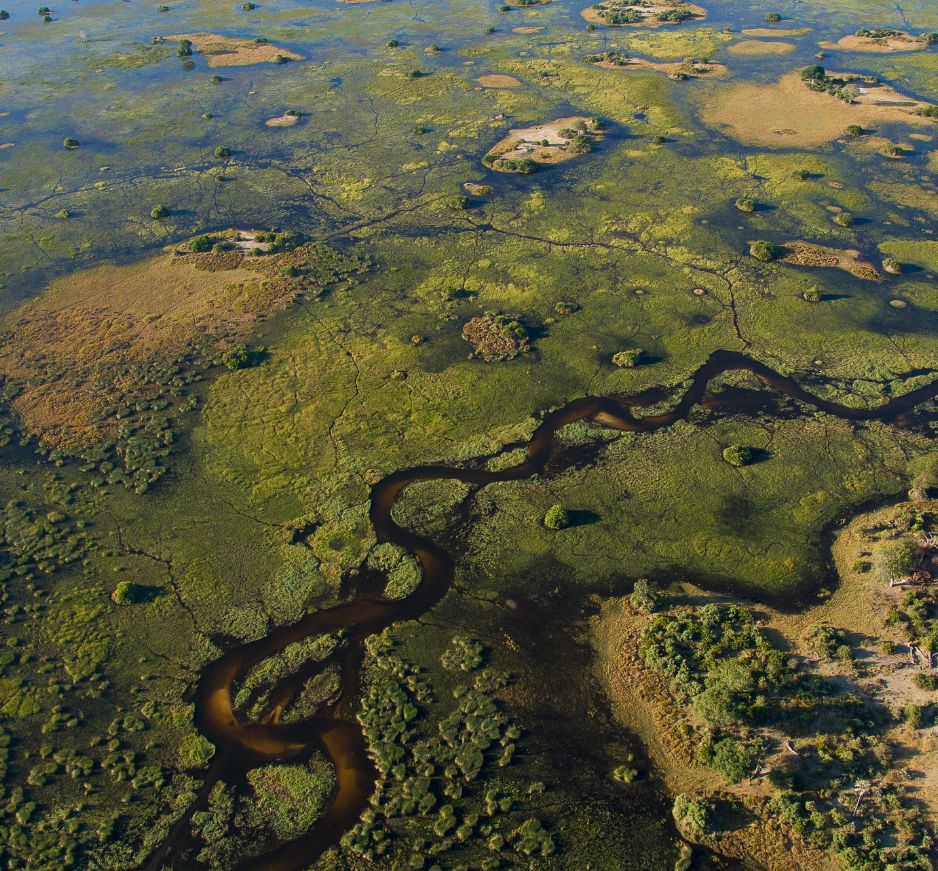 Okavango Delta, Botswana