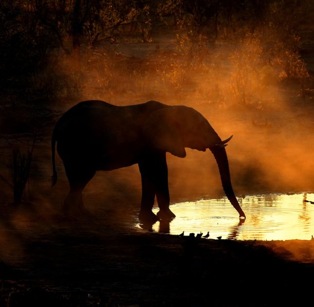 Skybeds, Okavango Delta, Botswana