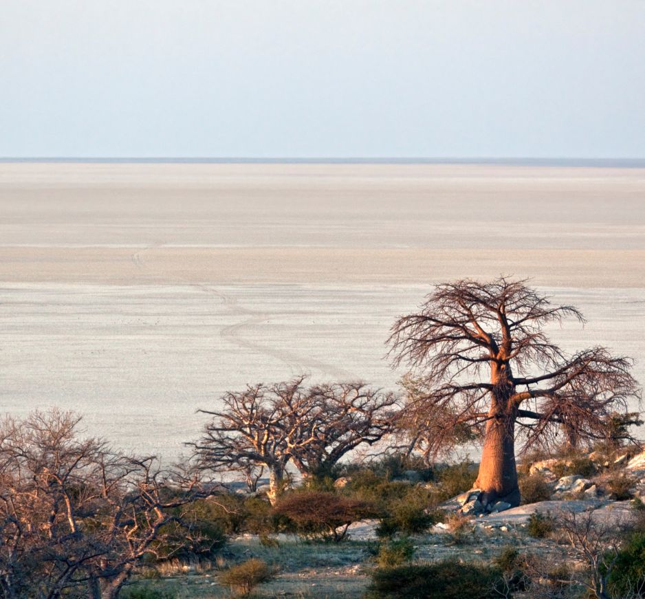 Makgadikgadi Salt Pans, Botswana