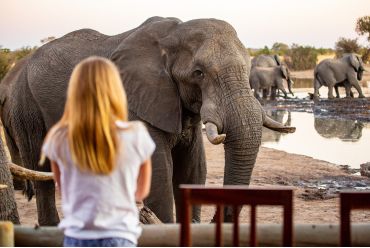 Hwange National Park, Zimbabwe