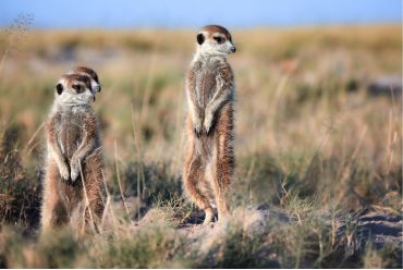makgadikgadi pans