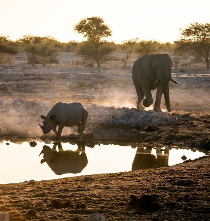 A watering hole in Hwange National Park, Zimbabwe