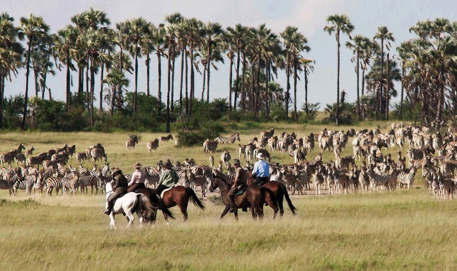 Makgadikgadi Pans, Botswana