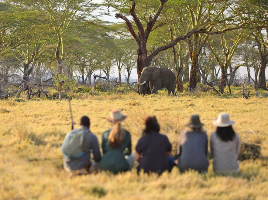 Namiri Plains Camp, Serengeti, Tanzania
