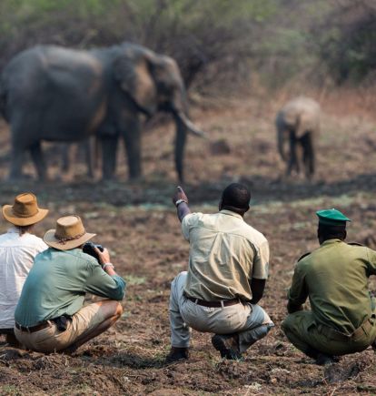 Nkwali Safari Camp, South Luangwa, Zambia
