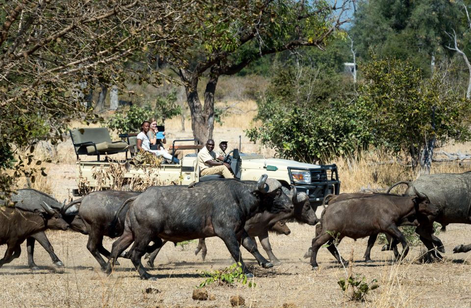 Nkwali Safari Camp, South Luangwa, Zambia