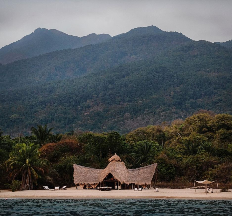 Greystoke, Mahale, Tanzania