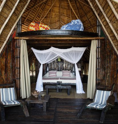 Greystoke, Mahale, Tanzania