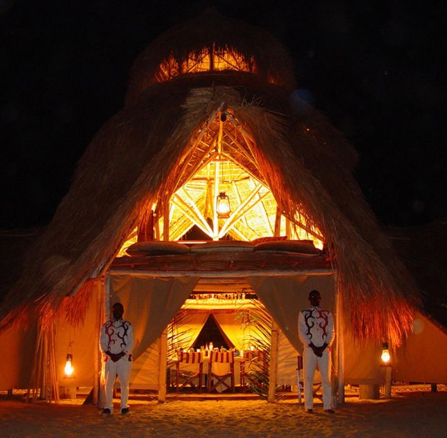 Greystoke, Mahale, Tanzania