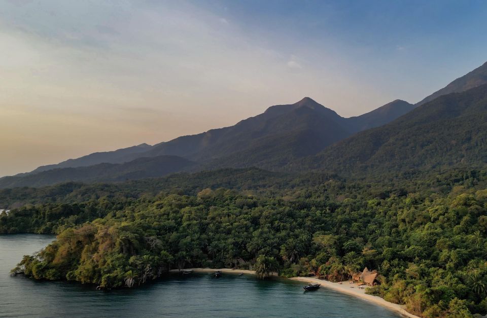 Greystoke, Mahale National Park, Tanzania