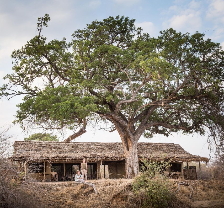 Kigelia, Ruaha National Park
