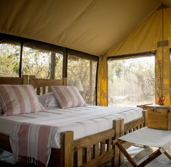 Kigelia, Ruaha National Park