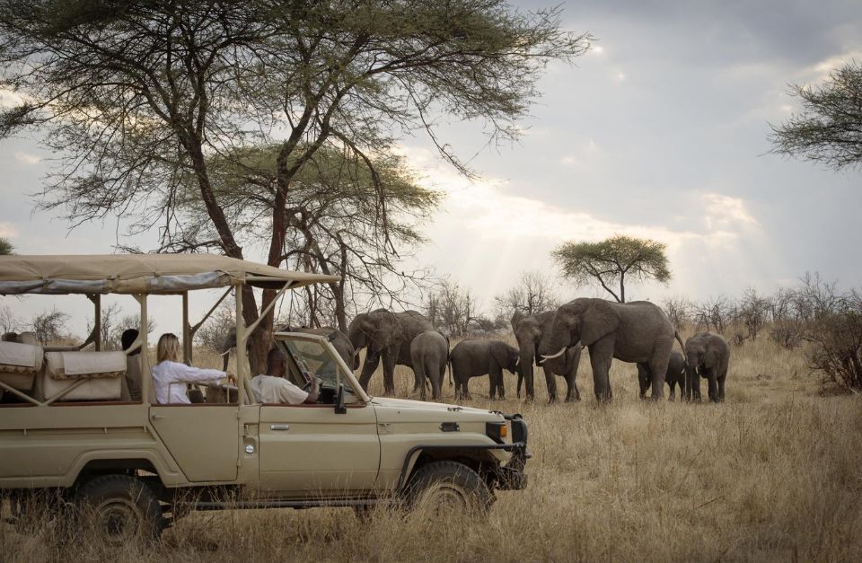 Kigelia, Ruaha National Park, Tanzania