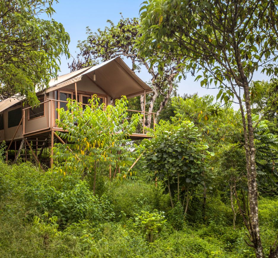 Galapagos Safari Camp, Santa Cruz
