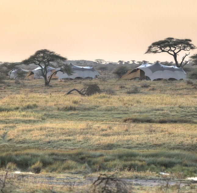 Namiri Plains Camp, Tanzania