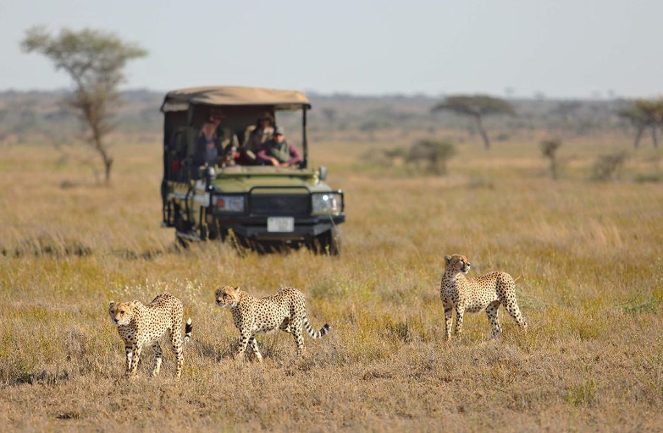 Namiri Plains Camp, Serengeti, Tanzania