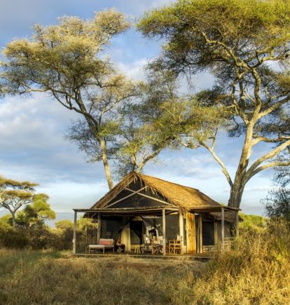 Kuro, Tarangire, Tanzania