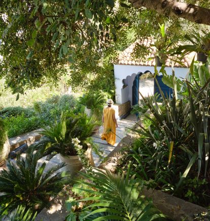 Gardens, Dar Jasmine, Chefchaouen, Morocco