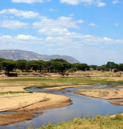 Ruaha, Tanzania