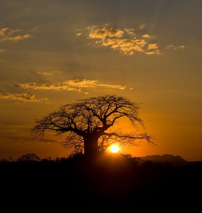 Ruaha, Tanzania