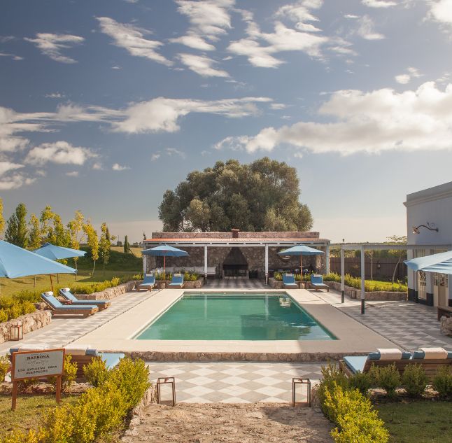 Pool at Finca Narbona, Carmelo, Uruguay